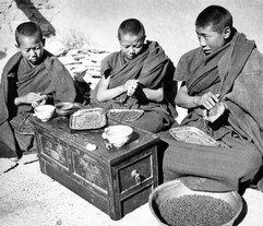 Tibetansk medicin