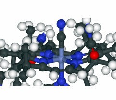 Vitamin B12 | Cobalamin