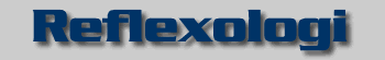 reflex1.gif (13208 bytes)