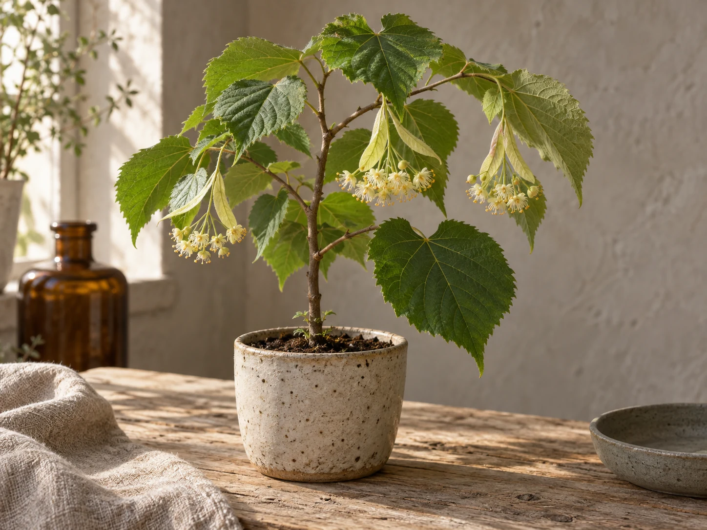 AI-genererad illustration av Bohuslind (Tilia platyphyllos Scop.) i Växttraditions bildmiljö.