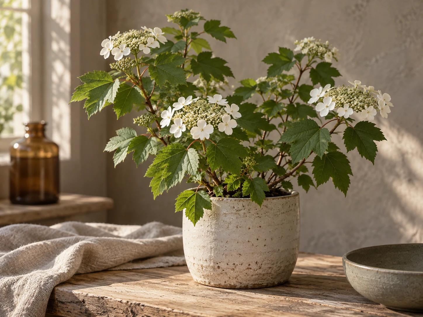 AI-genererad illustration av Olvon (Viburnum opulus L.) i Växttraditions bildmiljö.