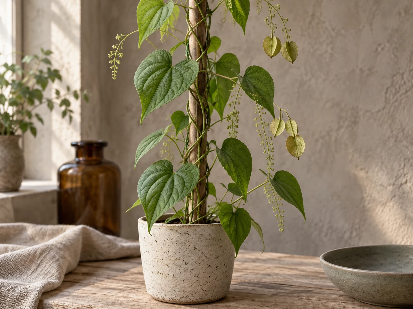 AI-genererad illustration av Vildjams/wild yam (Dioscorea villosa L.) i Växttraditions bildmiljö.