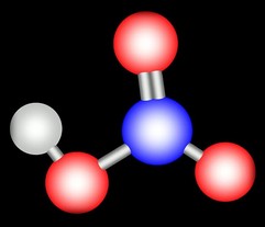 Argentum Nitricum