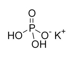 Kalium Phosphoricum