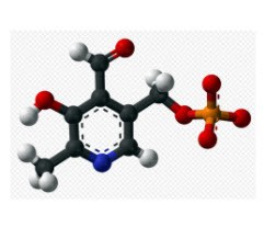 Vitamin B6 | Pyridoxin