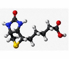 Vitamin B8 | Biotin