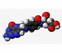 Vitamin B9 | Folinsyra