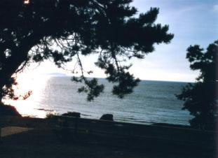 kvarn
